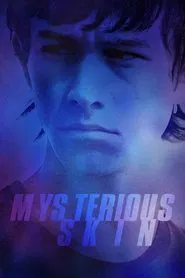 Mysterious Skin movie poster