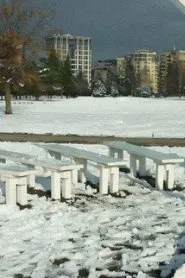 Poster do filme Something like Hyde Park