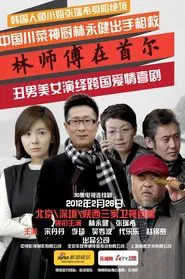 Master Lin In Seoul tv show poster