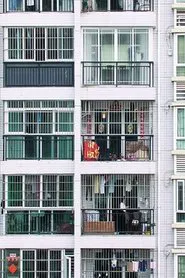 The Surroundings movie poster