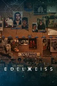 Edelweiss tv show poster
