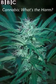 Poster da série Cannabis: What's the Harm?