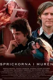 Poster do filme A Breach in the Wall