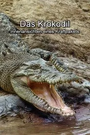 Das Krokodil - Innenansichten eines Kraftpakets movie poster