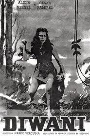 Diwani movie poster