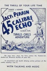 45 Calibre Echo movie poster