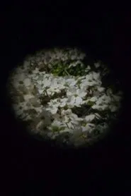 Estuary movie poster