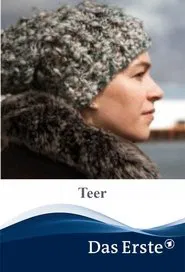 Poster do filme Teer