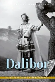 Poster do filme Dalibor