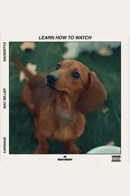 Poster do filme Learn How to Watch