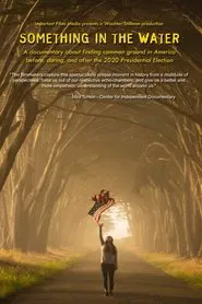 Poster do filme Something in the Water