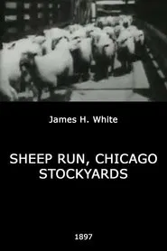 Sheep Run, Chicago Stockyards movie poster