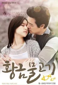 Poster da série Golden Fish