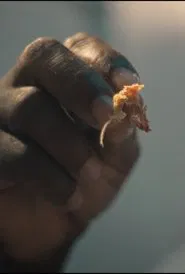 Last, Fire movie poster