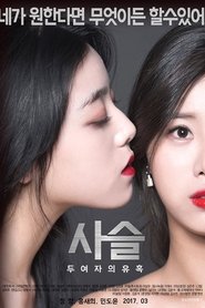 Chain-The Temptation of Two Women movie poster