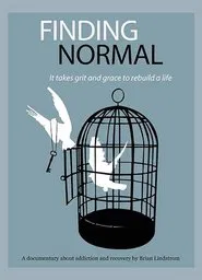 Finding Normal movie poster