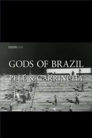 Gods of Brazil: Pelé & Garrincha movie poster