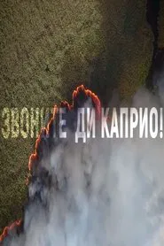 Call DiCaprio movie poster