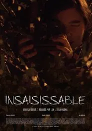 Poster do filme Insaisissable