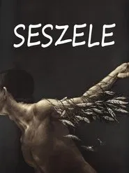 Seychelles movie poster