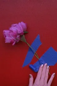 3 peonies movie poster