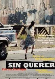 Poster do filme Sin querer