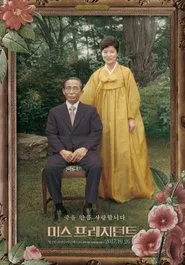 Poster do filme Mis-President