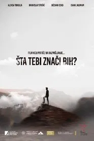 What Does Bosnia Mean to You? movie poster