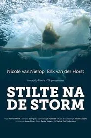 Stilte na de storm movie poster