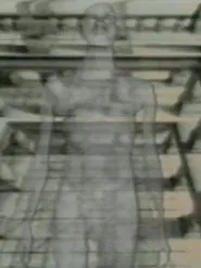 Viewers Of Optics movie poster