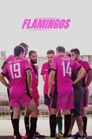 Flamingos movie poster