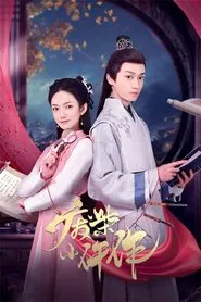Fei Chai Xiao Wu Zuo tv show poster