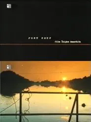 Pont Neuf movie poster