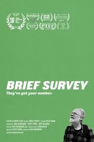 Brief Survey movie poster
