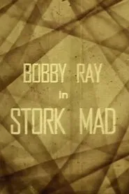 Poster do filme Stork Mad