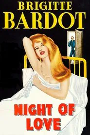 Poster do filme A Noite de Núpcias