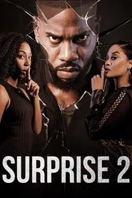 Poster do filme Surprise 2
