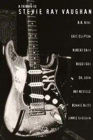 A Tribute to Stevie Ray Vaughan movie poster