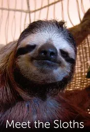 Meet the Sloths tv show poster