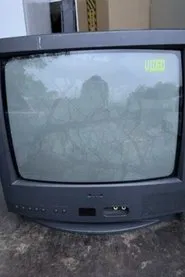 This Valley is bigger than you and me. movie poster