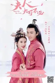 夫人，大可不必 movie poster