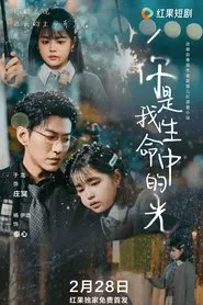 Poster da série 你是我生命中的光