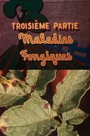 The Enemies of the Potato: Fungal Diseases movie poster