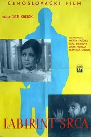 Labyrint srdce movie poster
