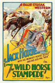 Poster do filme The Wild Horse Stampede
