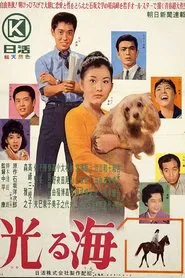 Bright Sea movie poster