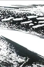 Phantom Conception movie poster