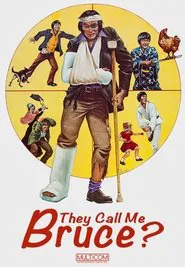 Poster do filme They Call Me Bruce?
