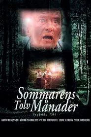 The Twelve Months of the Summer movie poster