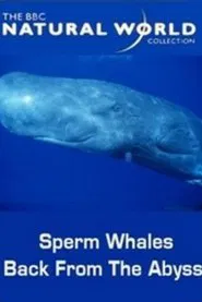 Sperm Whales: Back from the Abyss movie poster